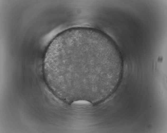 X0000113211455200910221052