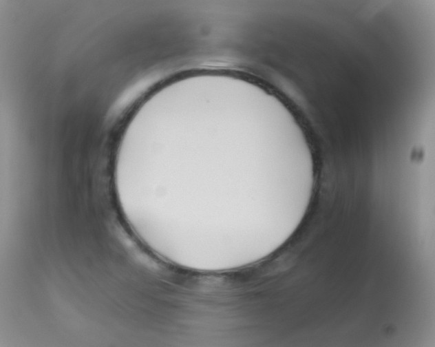 X0000113211456200910221052