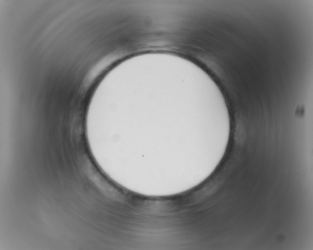 X0000113211458200910221052