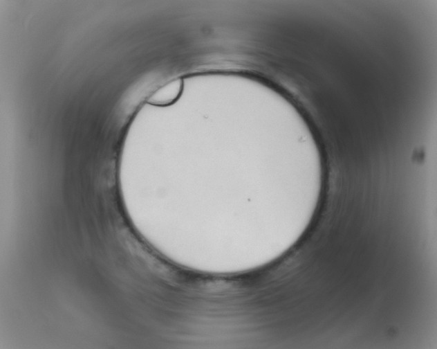 X0000113211459200910221052