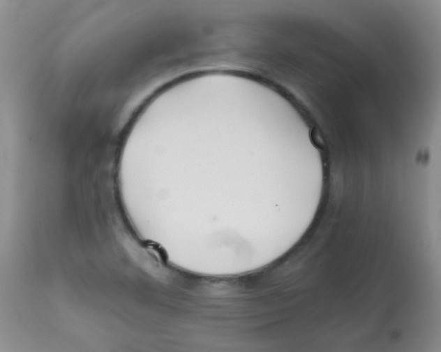 X0000113211460200910221052