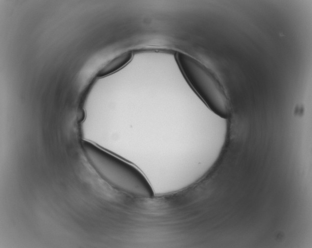 X0000113211464200910221051