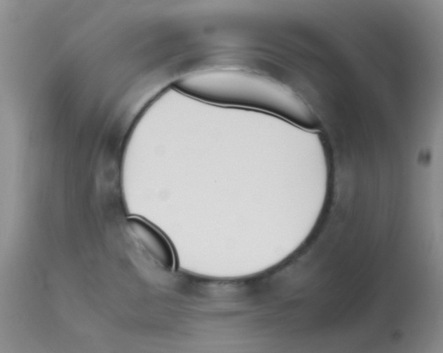 X0000113211465200910221051