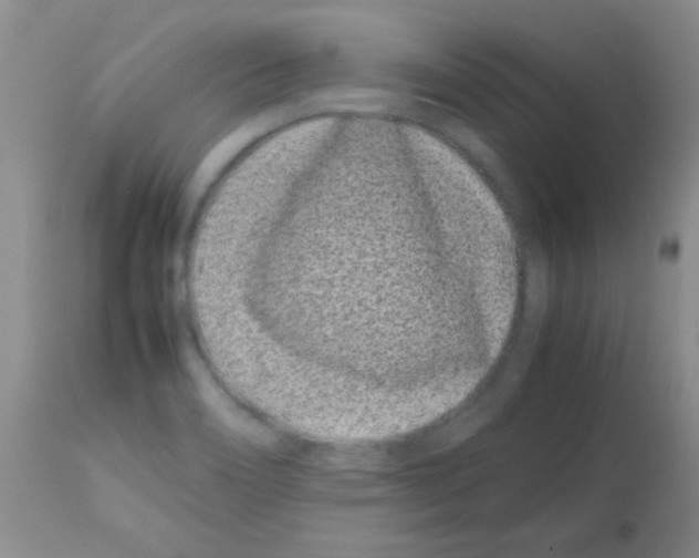 X0000113211466200910221051