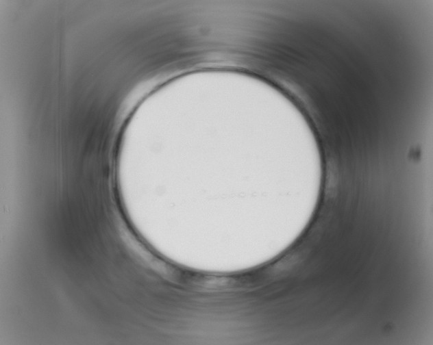 X0000113211467200910221051