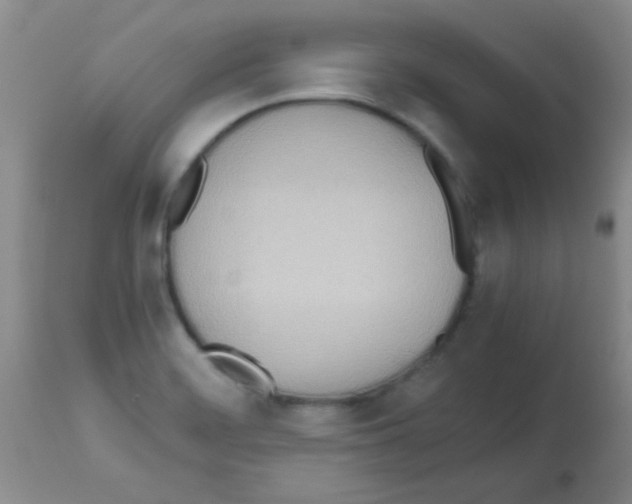 X0000113211468200910221051