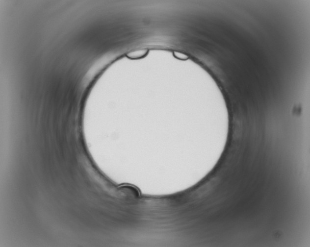 X0000113211469200910221051