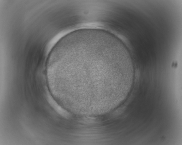 X0000113211470200910221051