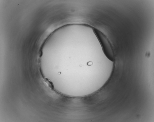 X0000113211472200910221051