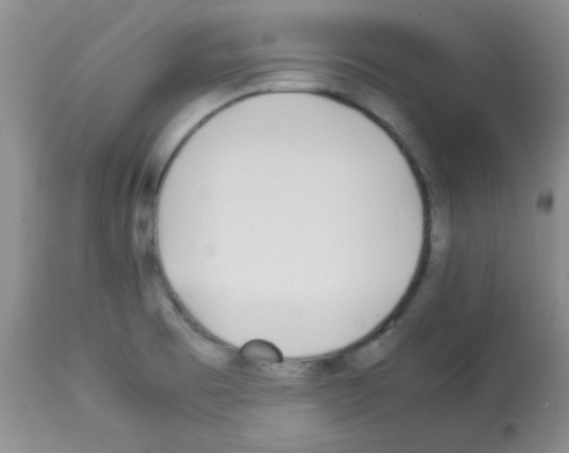 X0000113211473200910221051