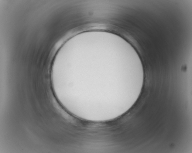 X0000113211475200910221051