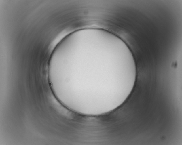 X0000113211476200910221051