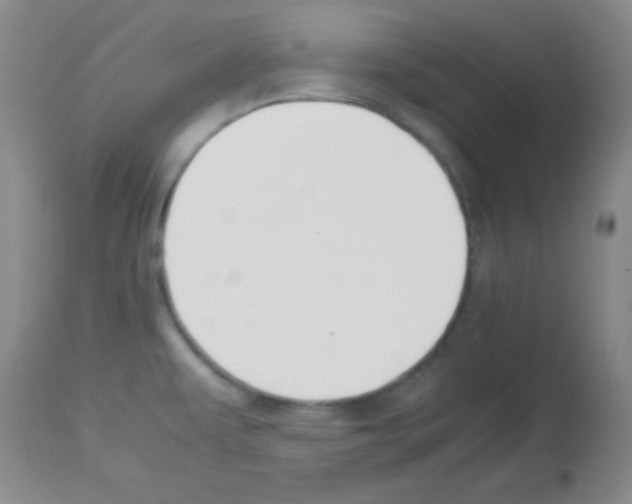 X0000113211479200910221051