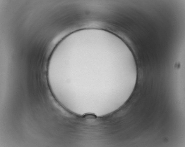 X0000113211480200910221051