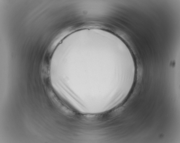 X0000113211481200910221051