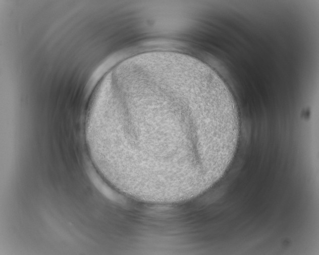 X0000113211482200910221051