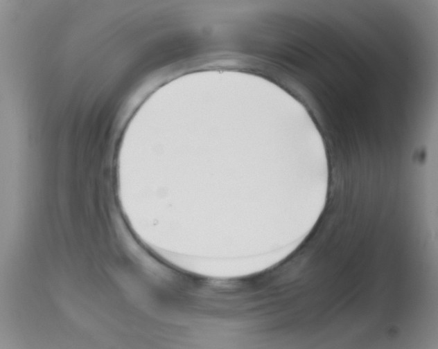 X0000113211483200910221051