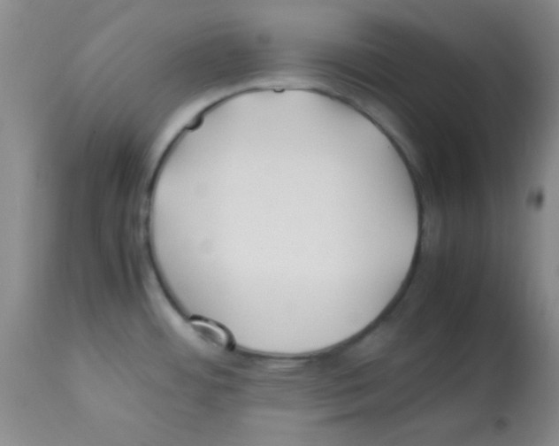 X0000113211484200910221051