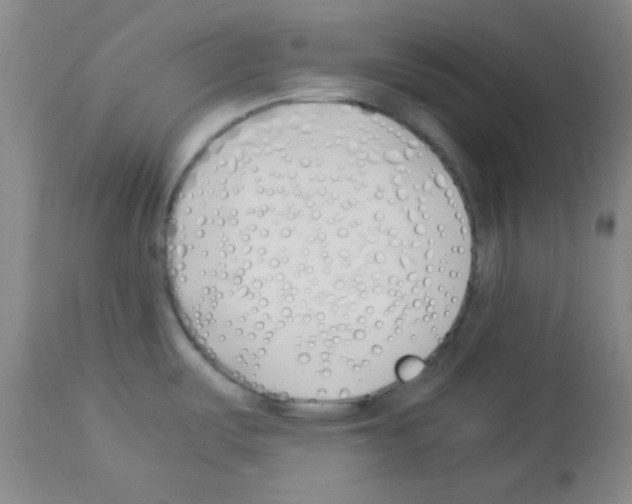 X0000113211487200910221051