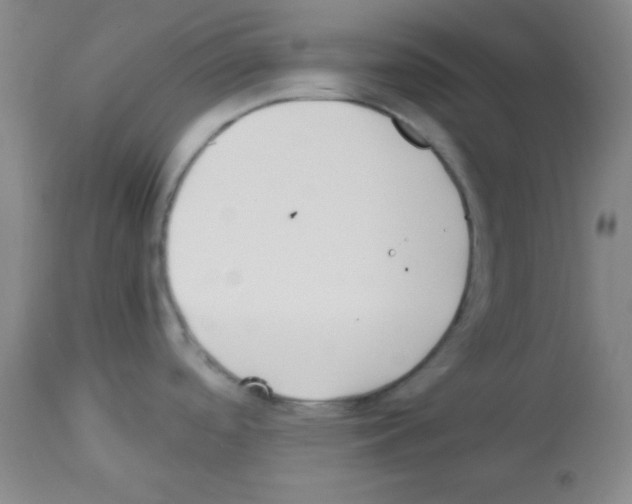 X0000113211488200910221051