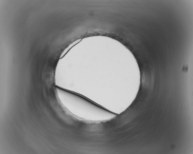 X0000113211492200910221051