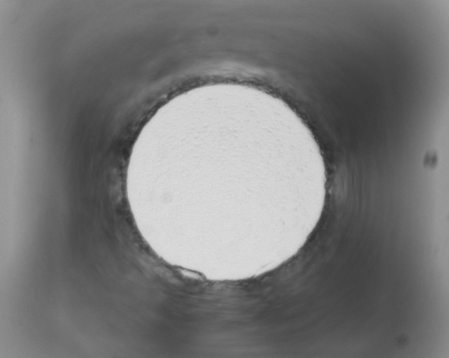 X0000113211493200910221051