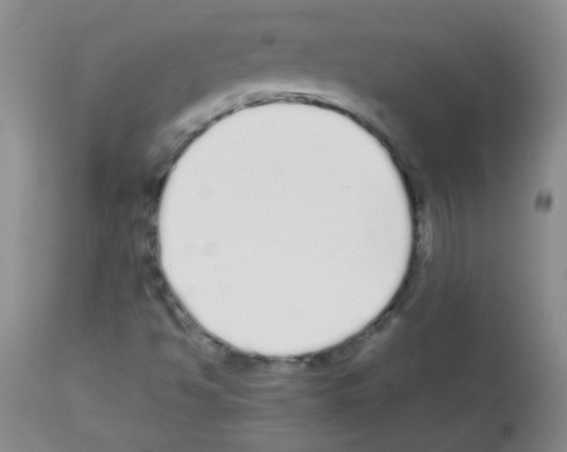 X0000113211494200910221051