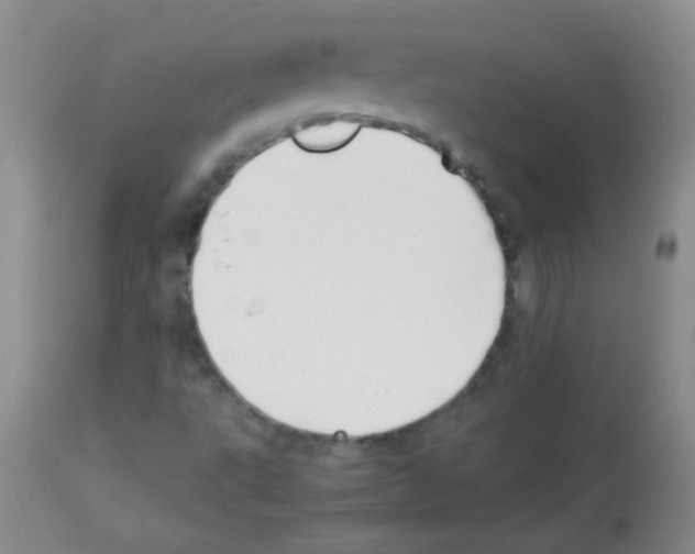 X0000113211495200910221051