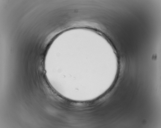 X0000113211497200910221051