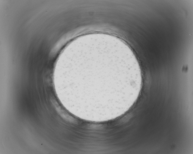 X0000113211499200910221051