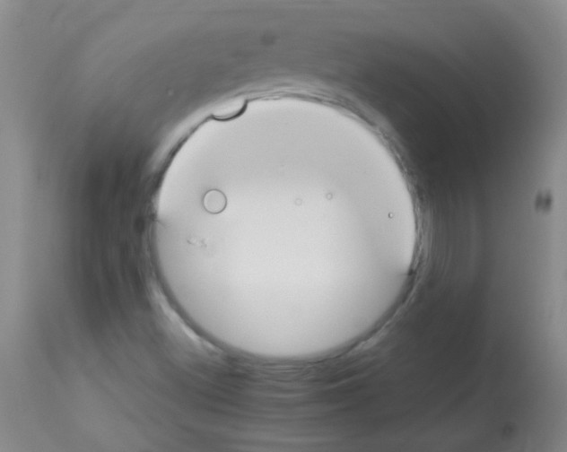 X0000113211500200910221051