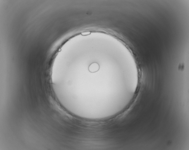 X0000113211502200910221051