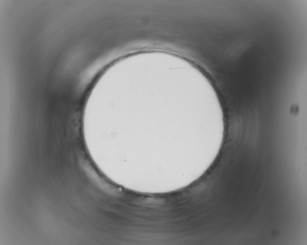 X0000113211503200910221051