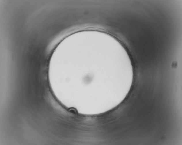 X0000113211504200910221051