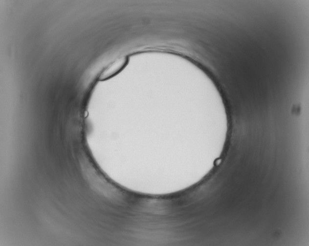 X0000113211506200910221051