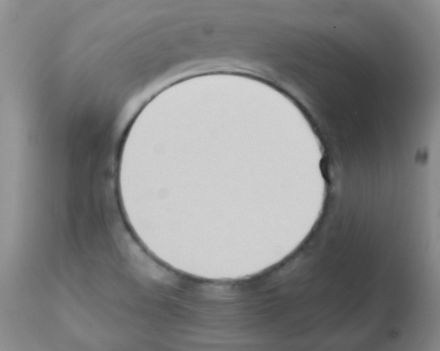 X0000113211508200910221051