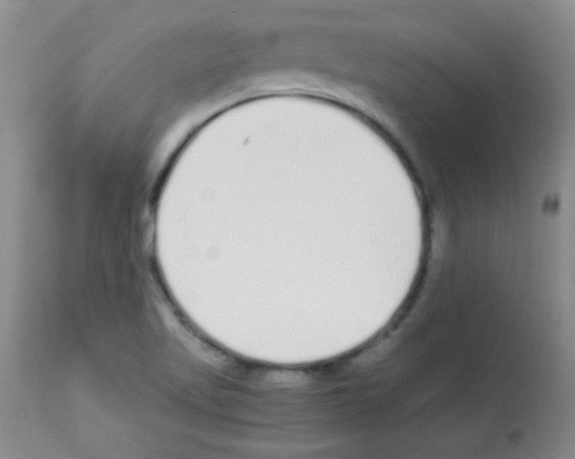 X0000113211509200910221051