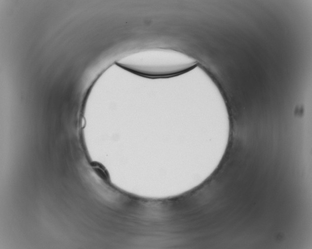 X0000113211512200910221051