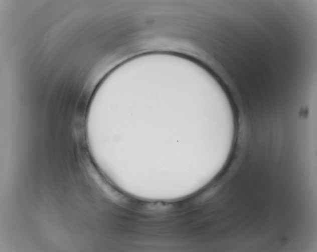 X0000113211513200910221051