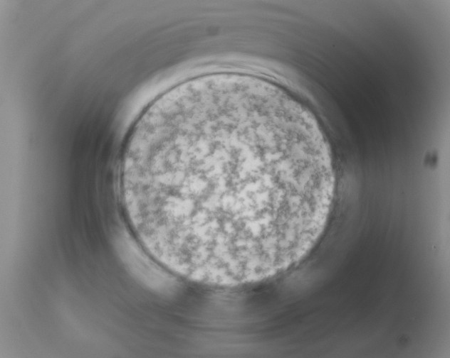 X0000113211514200910221051