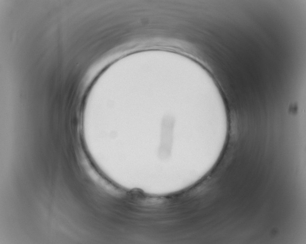 X0000113211515200910221051