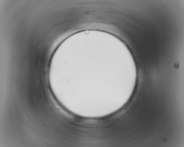 X0000113211517200910221051