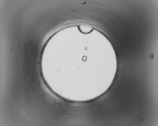 X0000113211518200910221051