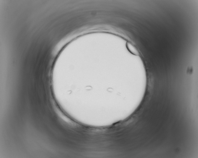 X0000113211519200910221051