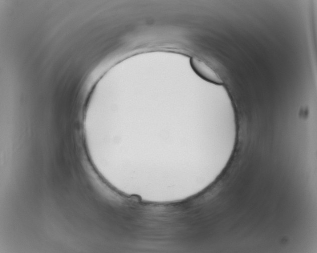 X0000113211520200910221051