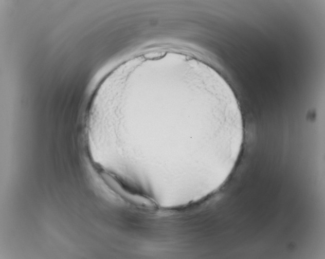 X0000113211522200910221051