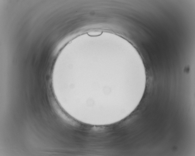 X0000113211523200910221051