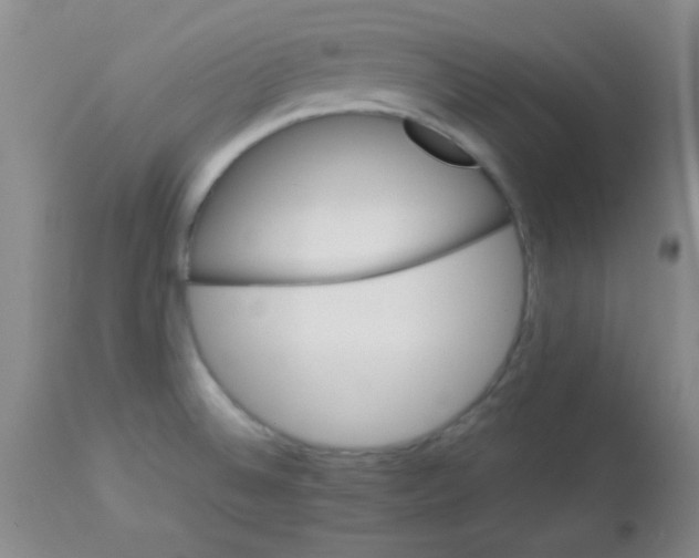 X0000113211524200910221051