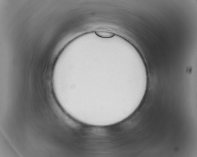 X0000113211525200910221051