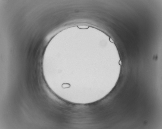 X0000113211526200910221051